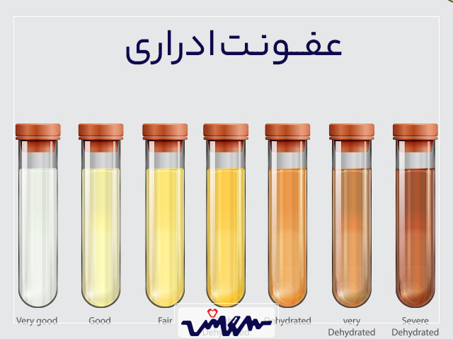 عفونت ادراری | علائم، درمان و پیشگیری | درمانگاه شبانه‌روزی سروش